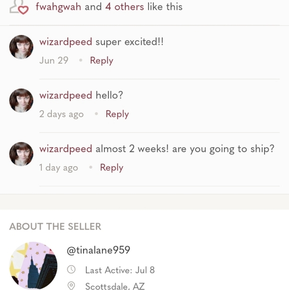 DO NOT PURCHASE FROM THIS SELLER - Picture 7 of 7